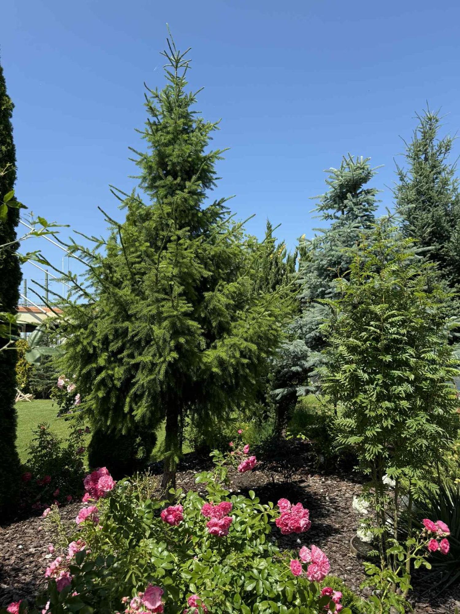 Bed & Breakfast Atmosfera Bydgoszcz